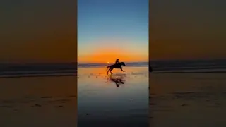 55-60 km/h 🚀🥹