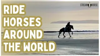 Ride with Horses Across the World — From Coastlines to Mountain Trails 🐎🌎