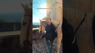 Our treks are almost fully booked 🤍🐎