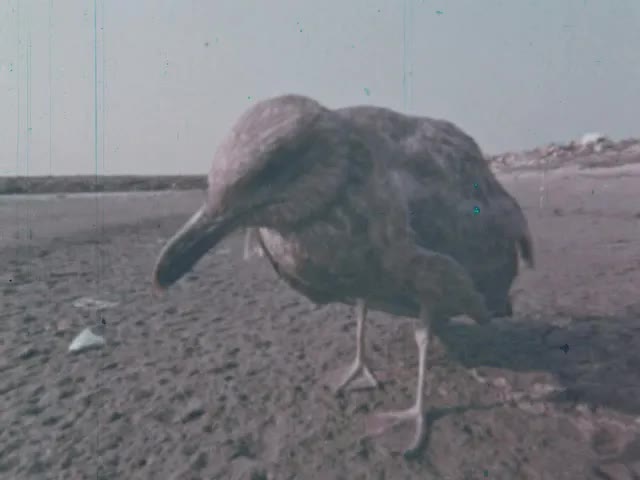 The End of One (1970)