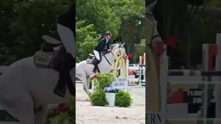 FireHorse My Cadillac Jack 🦄 and Loke Kreigel go clear in the 1.40M Speed Round #WEF11 🔥🐎🛡️