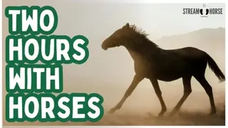 2 Hours of Horse Therapy in Nature 🐎🌸 Calm, Comfort & Emotional Reset