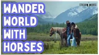 Wander with Horses — 10 Minutes of Slow Motion Freedom 🐎✨