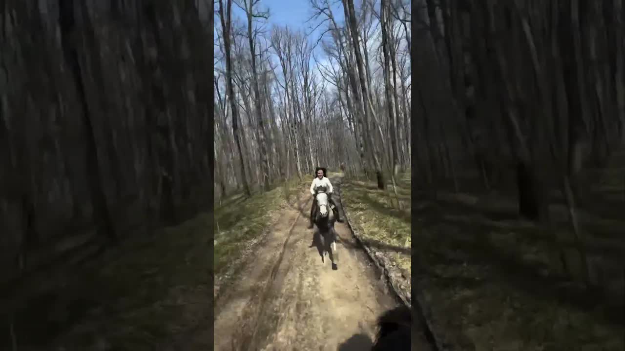 Astra 🐎
