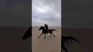 Yallah binaaaa… we ride in Hurghada 🔥📍 Hurghada with Ride to Live Stables 🇪🇬