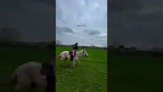 if you can dream, you can fly 🦄