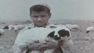 New North Africa (1964)