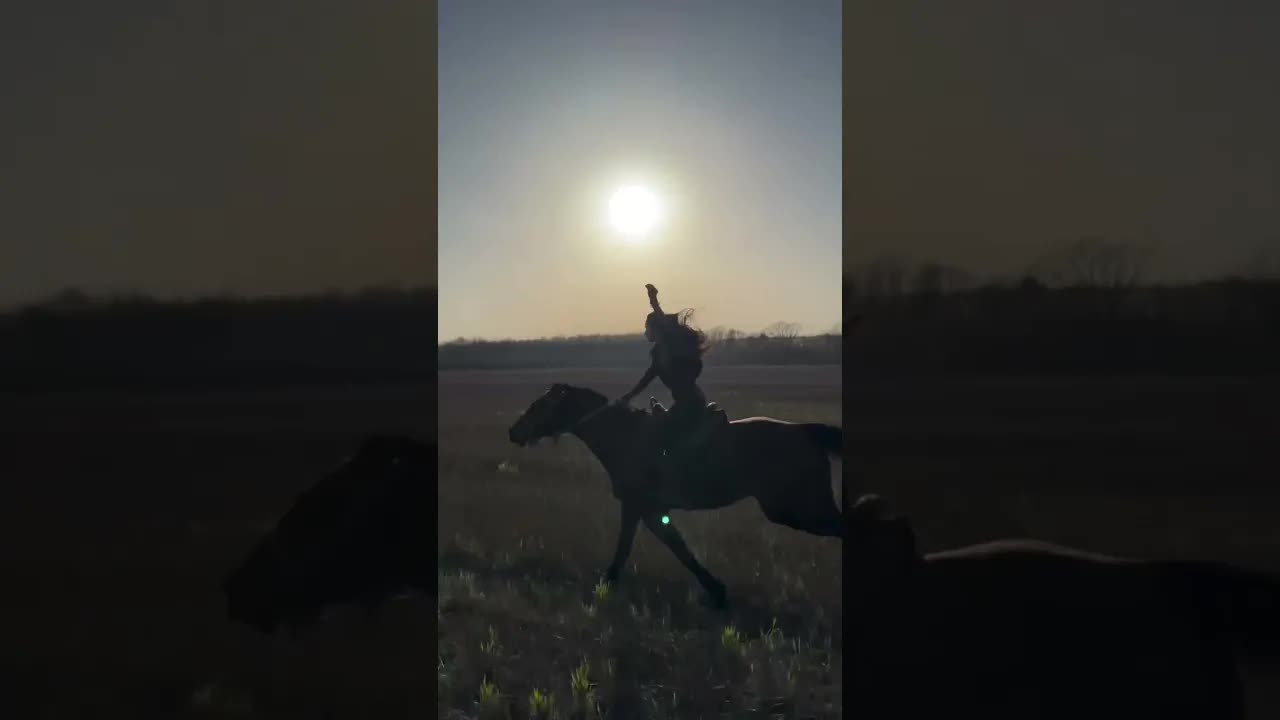 This moment 🐎