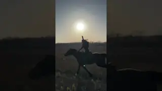 This moment 🐎