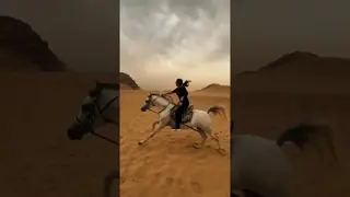 Riding a majestic Arabian young stallion in Cairo 🐎✨