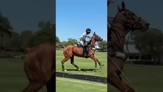 💥 @mrsmommabearofficial / @lonesomewindranch 👉 Goal 💥 WELLINGTON POLO TOUR