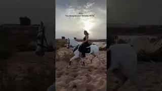 🔥 Escape the stress. Feel true freedom.
