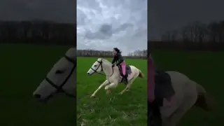 ⚡️🌪️