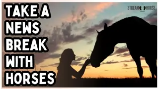 The World Keeps Spinning — You Don’t Have To 🐴🌍 10 Minutes with Horses & Nature