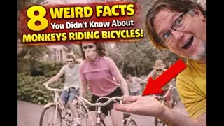 This 1950s Bike Safety Film Eliminated Its Entire Cast One by One