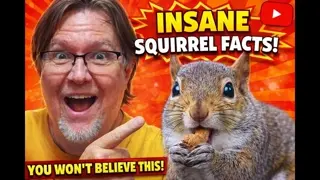 They Ran Experiments on This Squirrel. Big Mistake. He Won Every Single One.