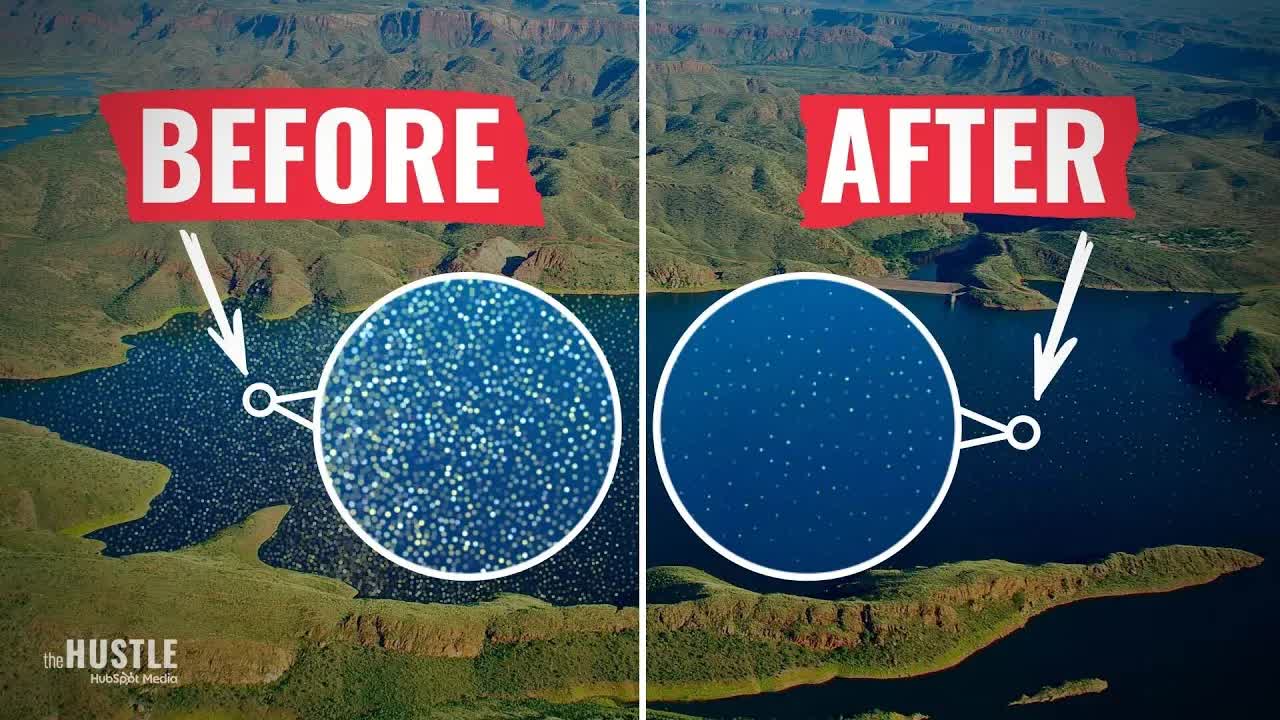 Three Ways We Can Fix Our Microplastics Problem