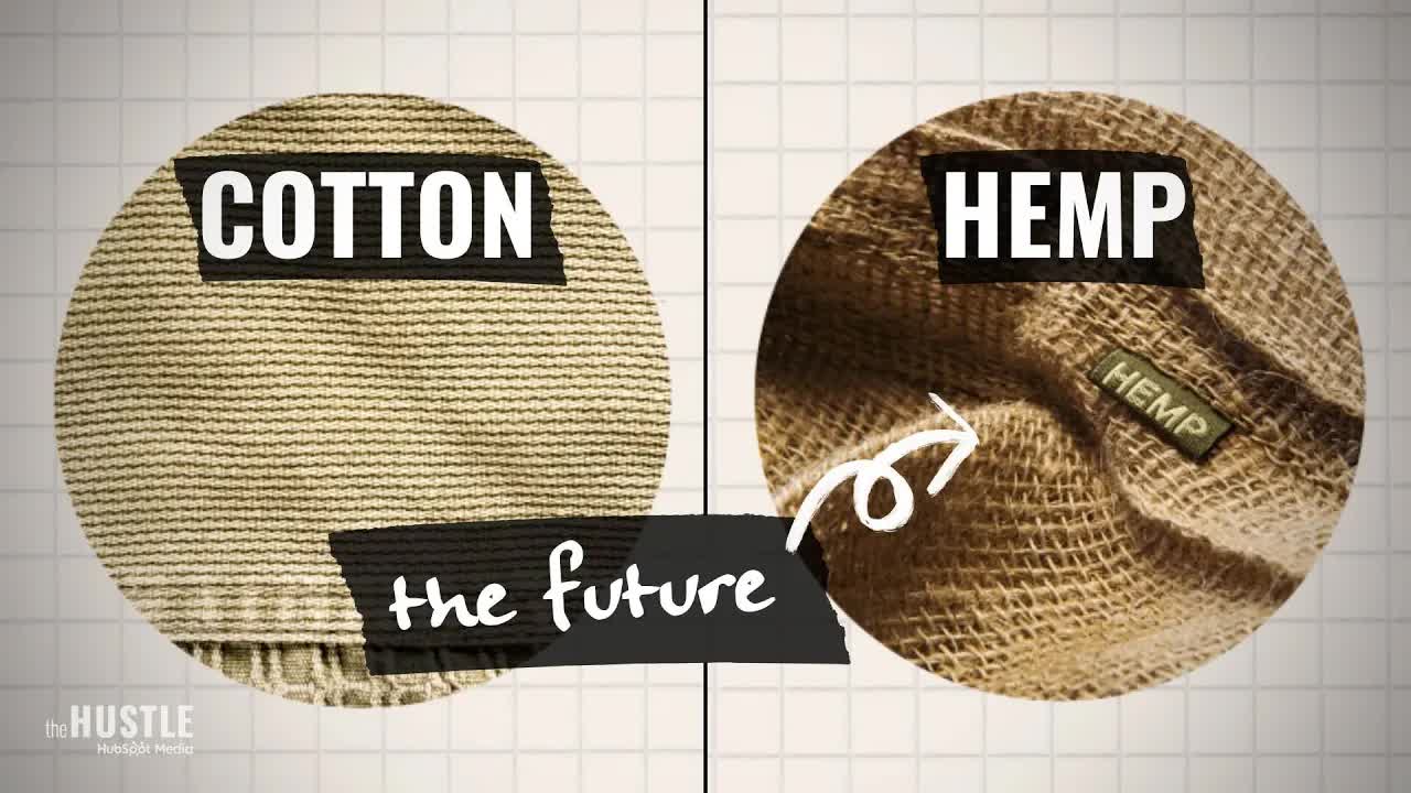The Real Reason Hemp Hasn’t Replaced Cotton