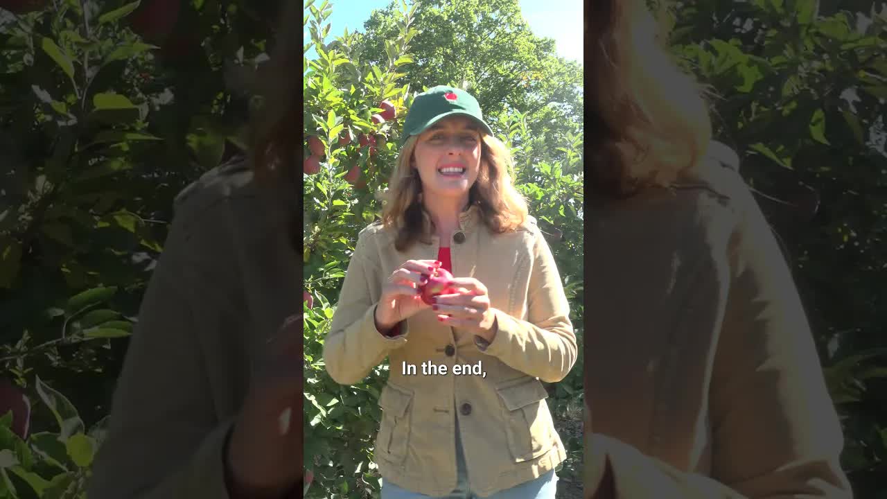 What Happened to the McIntosh Apple?
