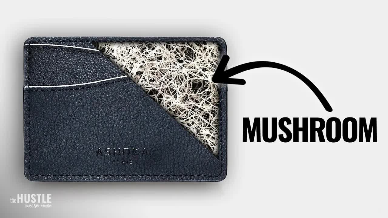 Meet the Material That Could Kill Plastic and Leather