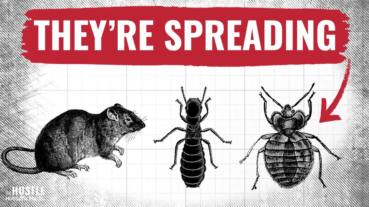 Why Bugs Don't Die Like They Used To