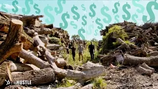 The Million-Dollar Business of Wood Waste in the US