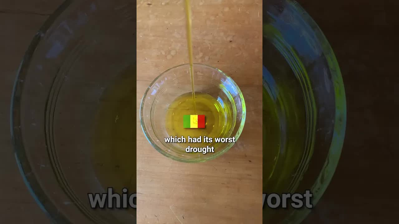 Global Olive Oil Price Hits 26-Year High