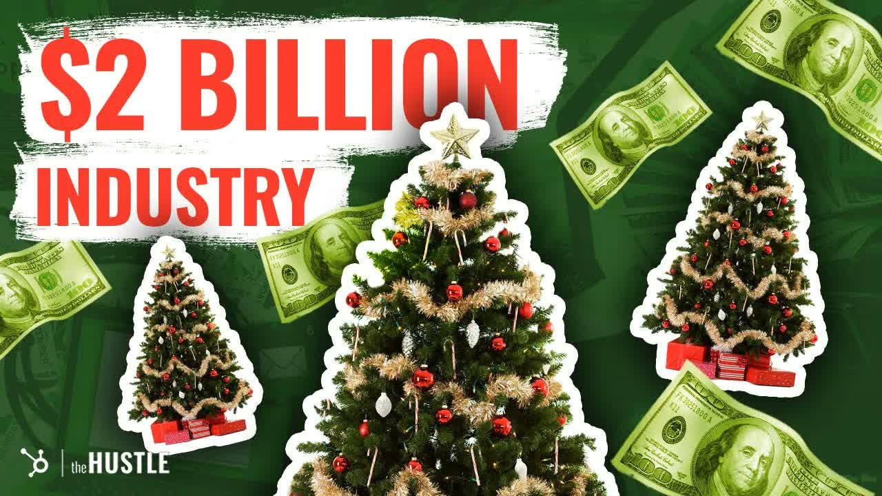 The Economics Of The $2 Billion Christmas Tree Industry | Hustlenomics