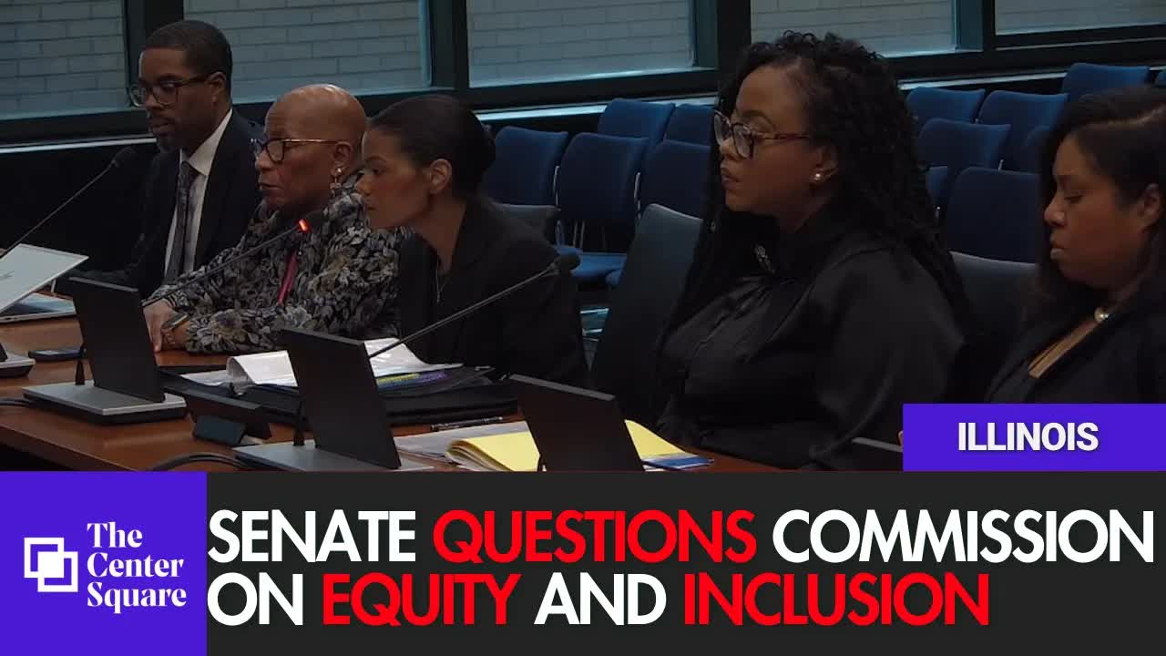 Illinois' Commission on Equity and Inclusion Faces Questions During Senate Hearing