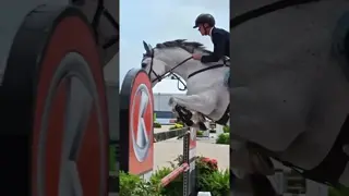 After winning the 1.35M Open on Wednesday, #FireHorse My Cadillac Jack is headed to tomorrow’s 1.40M
