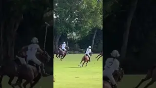 💥 @poroto_cambiaso 💥Catamount 👉 UNDEFEATED OUTBACK CUP 2026