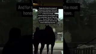 If you’ve ever felt more at ease in a barn than in a room full of people — there’s a reason for that