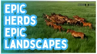 Epic Herds Running Across Epic Landscapes 🐎🌍✨