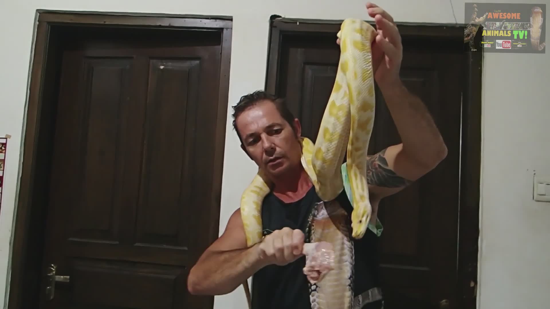 Witnessing fascinating snake species in the wild during field research