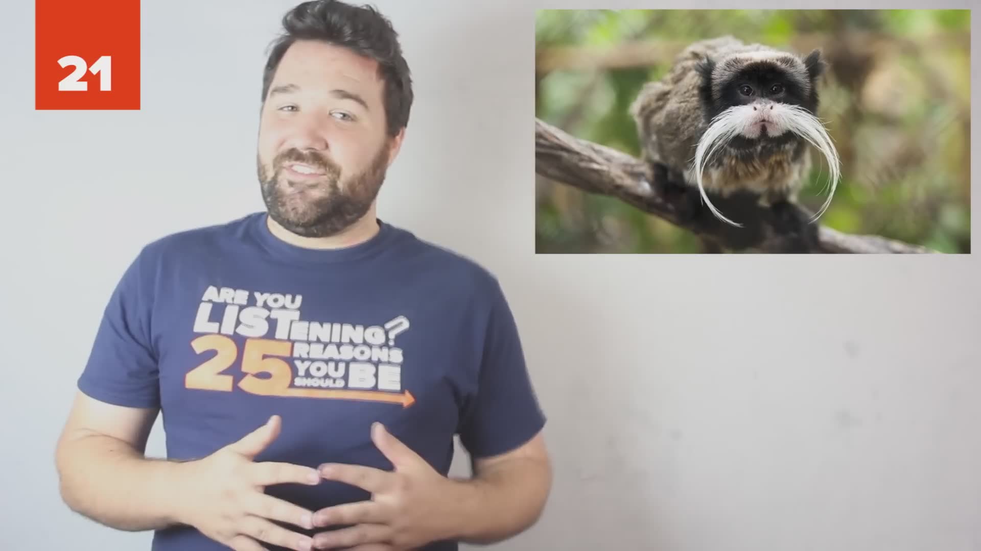 Creatures sporting impressive facial hair naturally from vultures to primates