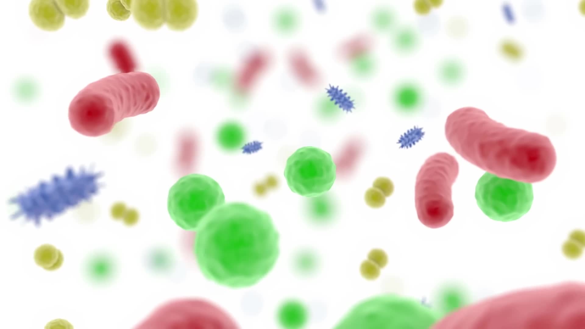 Probiotics: do they actually do anything and 10 fermented foods you should eat