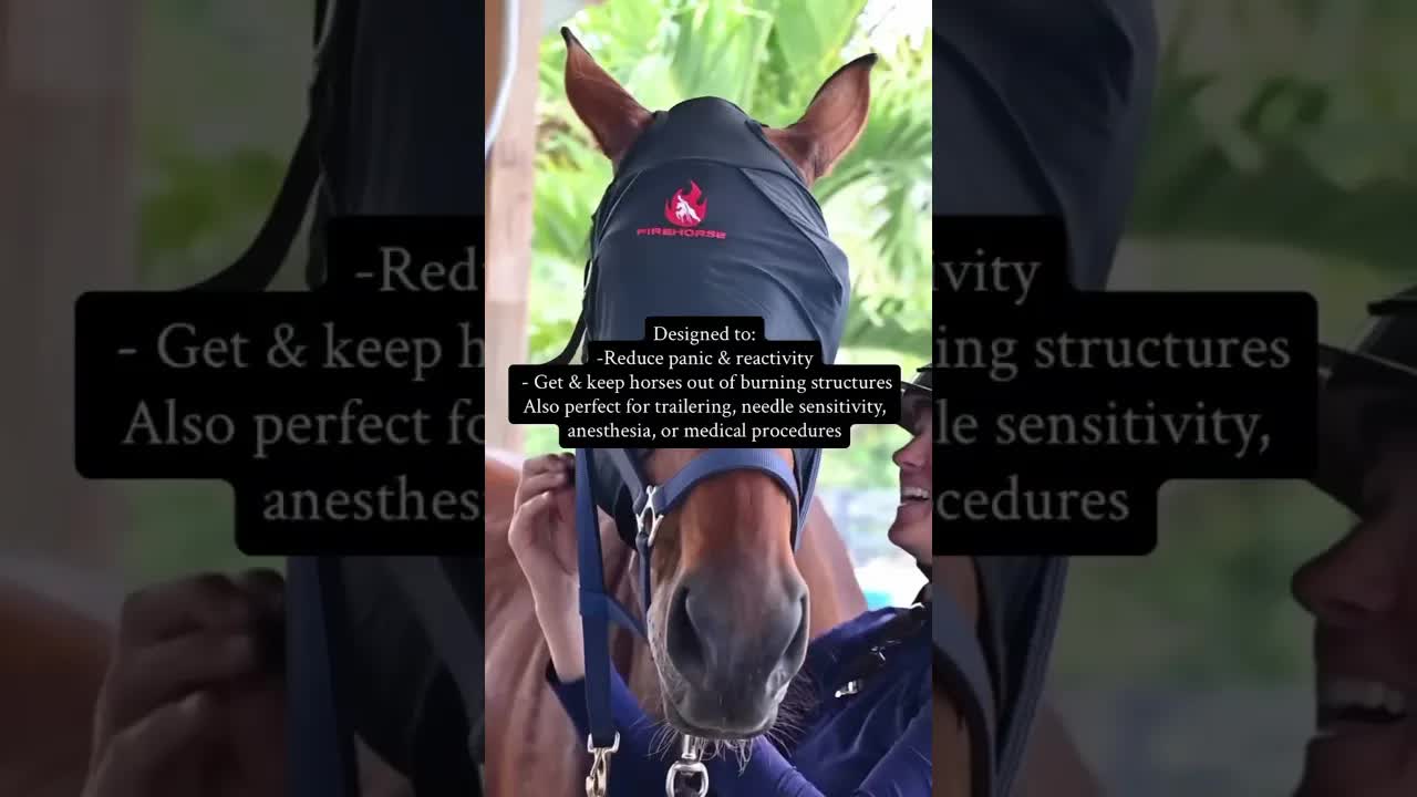Trying FireHorse Equine Blindfold for the first time! 🔥🐎🛡️