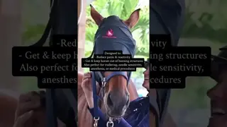 Trying FireHorse Equine Blindfold for the first time! 🔥🐎🛡️