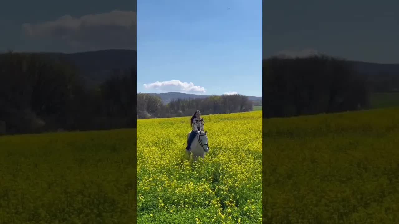 🌼🌼🌼🌼