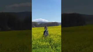🌼🌼🌼🌼