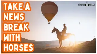 When the News Is Too Much... Watch The World's Equines 🐎🦓😌