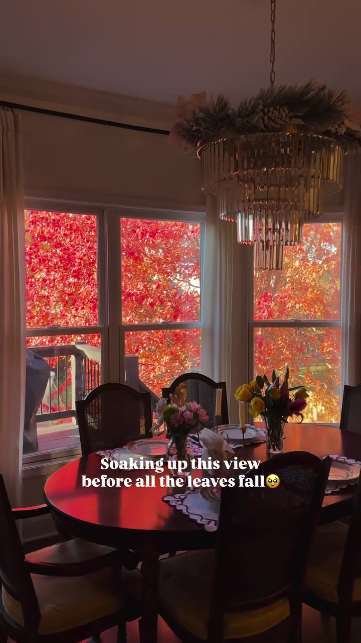 Fall colors at their peak captured from indoor vantage point