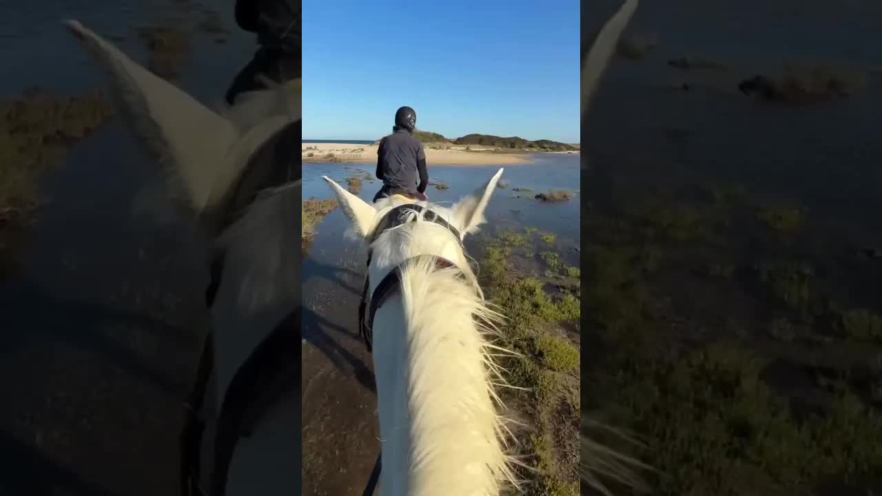 La magia di questo posto non ha eguali 🏝️🐴🌼