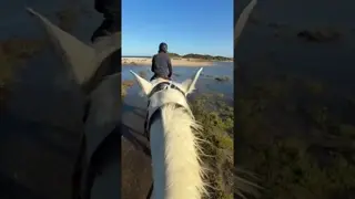 La magia di questo posto non ha eguali 🏝️🐴🌼
