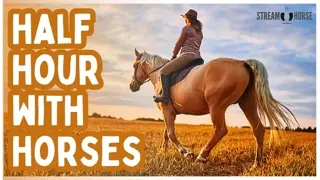 Nothing is Asked of You for 30 Minutes — Horses in Nature 🐎🌿