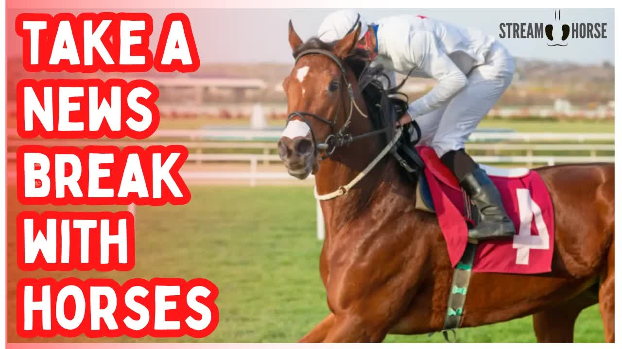 The World News Is LOUD 🚨📢 Horses Aren’t! 🐎😌 10 Minutes of Relief