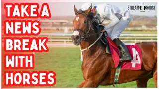 The World News Is LOUD 🚨📢 Horses Aren’t! 🐎😌 10 Minutes of Relief