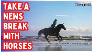 Your Feed Is Chaos 📱🔥 Nature & Horses Are Not 🐎🌿 10 Minutes to Reset