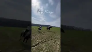 horse therapy ❤️🐴