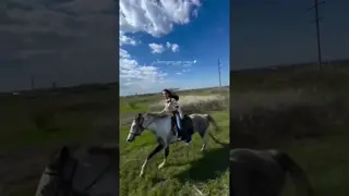 a horse gives you wings 🪽